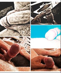 cock